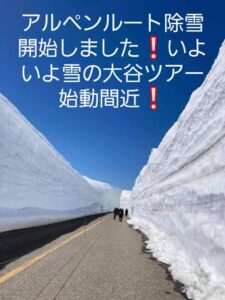 いよいよ❗春に向けて立山黒部アルペンルート除雪開始しました！