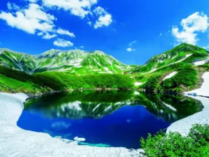 ナチュラリストと行く！立山雪の大谷直行バスツアー